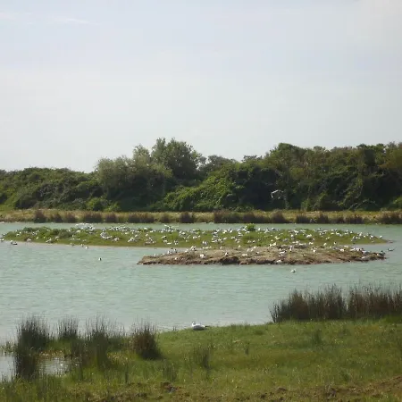 Holiday home Charming In The Baie De Somme *